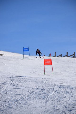 Чемпионат Узбекистана 2024